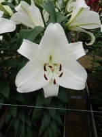 [5616 VH46 No02.JPG]